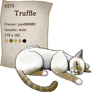 Truffle